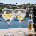 杜松子酒和补品屋顶